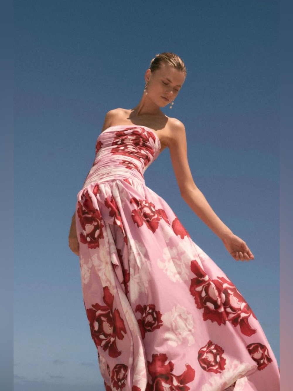 Aje Pink Red Floral Printed Violetta Bubble Hem Strapless Gown AU6/US2 NWT - Picture 3 of 10